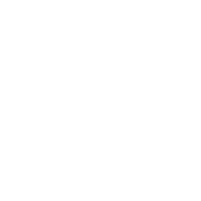 Logo Instagram BIOHOME